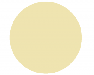 blob for image processing