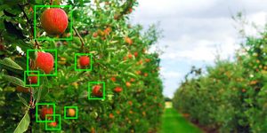 computer vision in agriculture