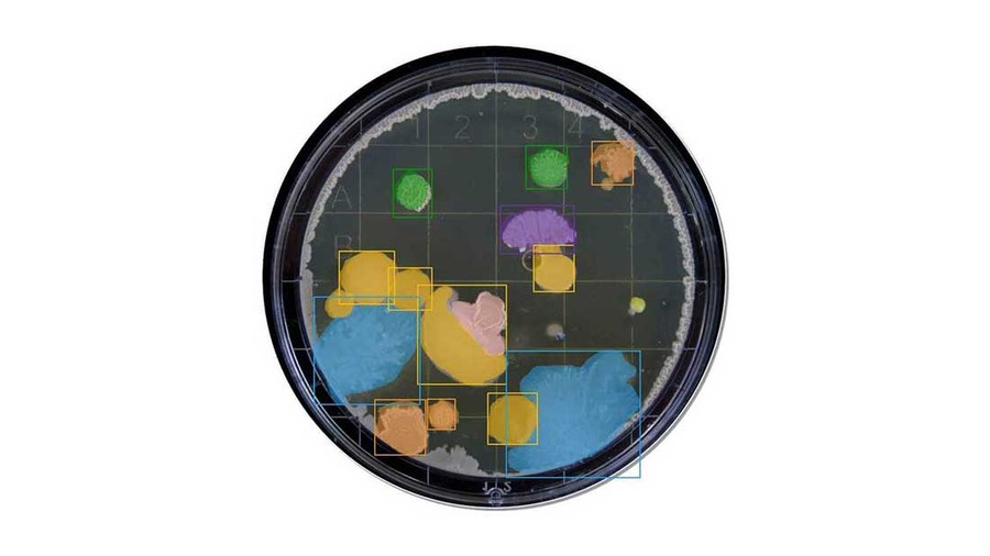 Halcon Instance segmentation